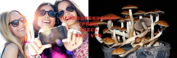 твердый Алексеевка