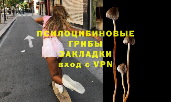 твердый Алексеевка